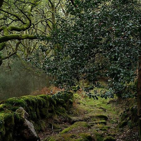 Casa A Criscada Villa Fornelos de Montes Dış mekan fotoğraf